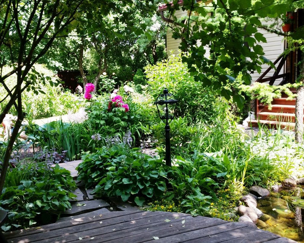 Проект Горки 2